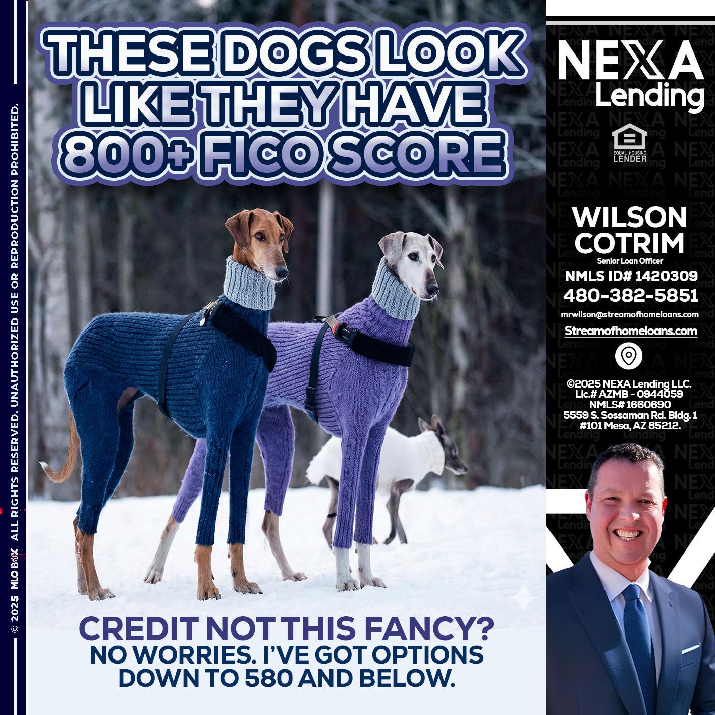 THESE DOGS LOOK - Wilson Cotrim -Senior Loan Officer
